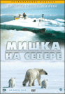 МИШКА НА СЕВЕРЕ