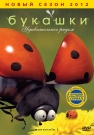 Букашки. Удивительное Рядом